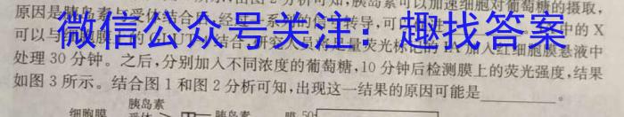 2024届甘肃省高三阶段调考(⇧)生物学试题答案