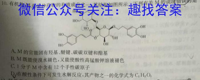 2024河南中考仿真模拟试卷(十)化学