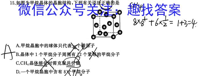 高一2024年度春季6月联合检测卷(24-582A)数学