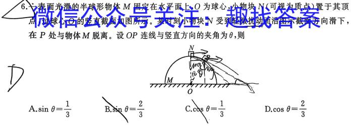 河南省2024年中考导航冲刺押题卷(九)q物理