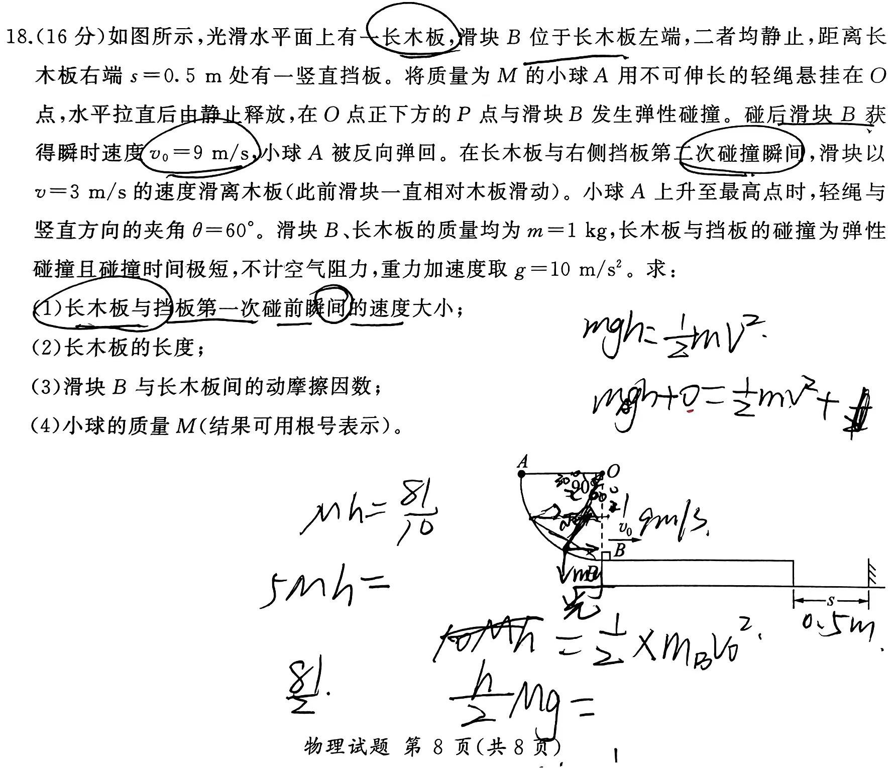 2025届河北省高二考试9月联考(25-05B)(物理)试卷答案