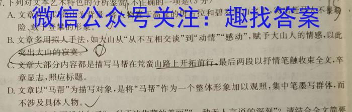 安徽省2023-2024学年度第一学期九年级期末质量检测试卷(TH)语文