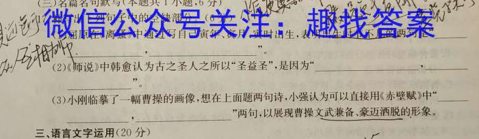 2024年陕西省初中学业水平考试突破卷语文