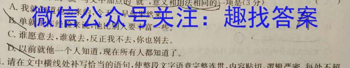 [内部资料加速高升鼎新卷]2024年安徽省初中学业水平考试模拟测试卷(A卷)语文