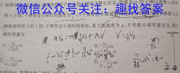 河北省2023-2024学年高二(下)第一次月考(24-374B)物理