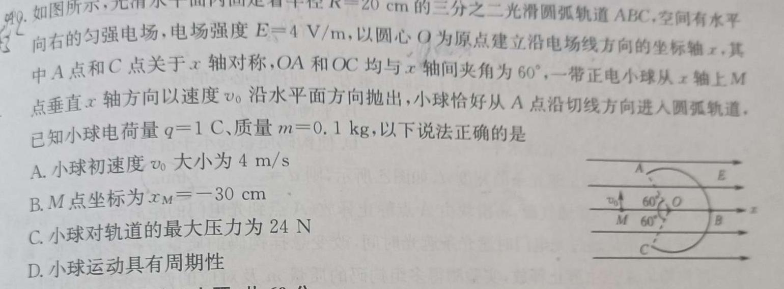 山东省高二2024年临沂市2022级普通高中学科素养水平监测试卷(物理)试卷答案