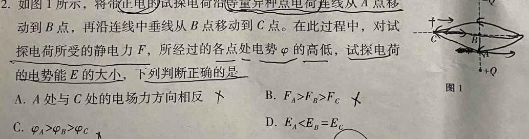 NT教育·2024-2025学年高二年级9月入学摸底考试(物理)试卷答案