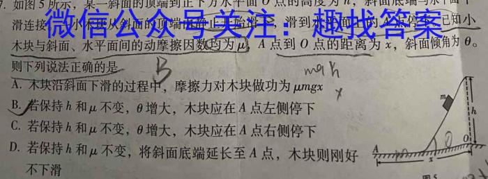 安徽省2024年九年级教学检测(CZ118c)物理试卷答案