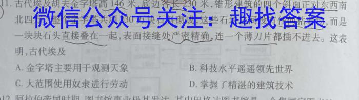ɽʡ̫ԭ2024꼶ѧĩʷ