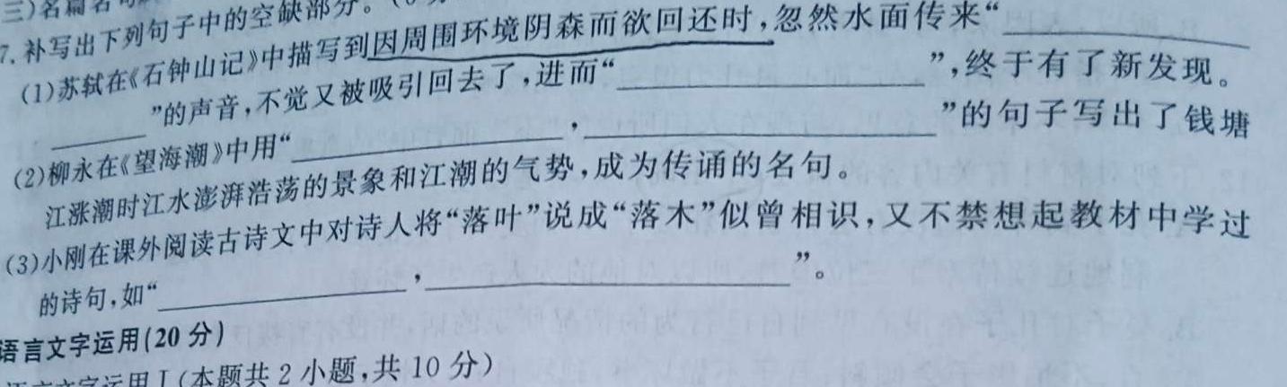 [今日更新]安徽省六安市皋城中学2025届九年级（上）定时作业（一）语文试卷答案