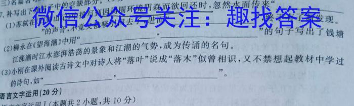 河北省邢台市2023-2024学年高二(上)期末测试(24-223B)语文