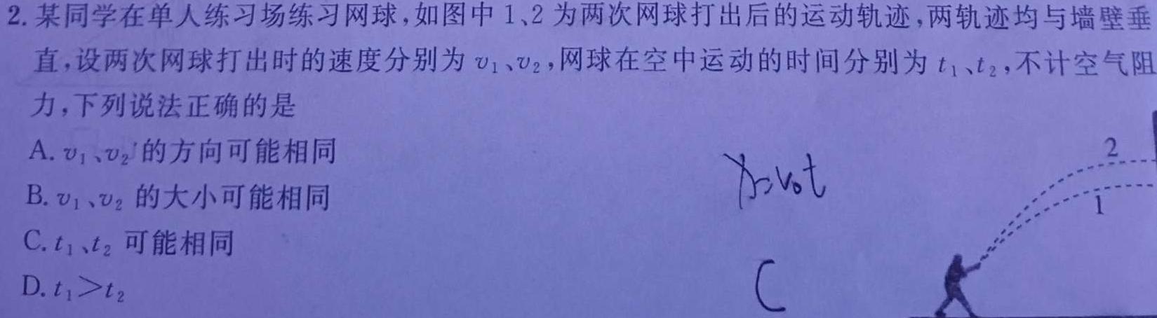 [今日更新]商洛市2024届高三尖子生学情诊断考试（第二次）.物理试卷答案