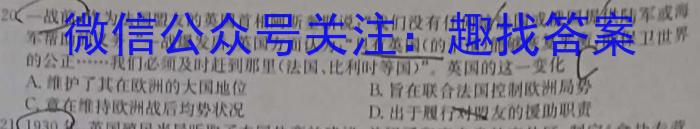 江西省宜春市高安市2023-2024学年度上学期九年级期末质量监测历史试卷答案