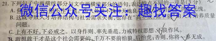 河北省2022-2023学年度七年级下学期阶段评估(二)[7L]/语文