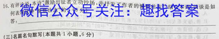 衡水名师卷 2024年高考模拟调研卷(新教材▣)(五)5语文