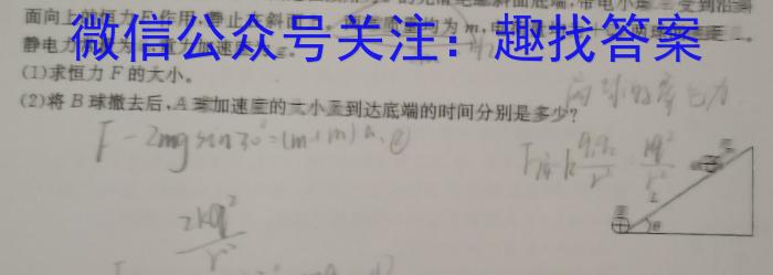 河北省2024届高三年级大数据应用调研联合测评八(Ⅷ)物理试卷答案