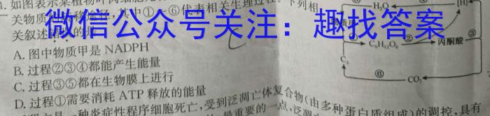 河南省2023～2024学年度七年级下学期期中综合评估[6L-HEN]生物学试题答案