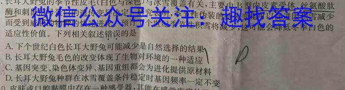 湖北省2024年普通高等学校招生统一考试新高考备考特训卷(六)6英语