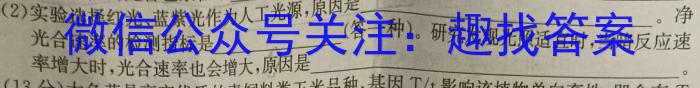 广东省大湾区2023-2024学年第一学期末普通高中二年级联合考试数学