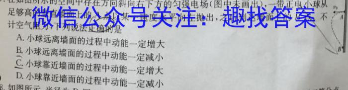 天一大联考 2023-2024学年安徽高二(上)期末质量检测物理试卷答案