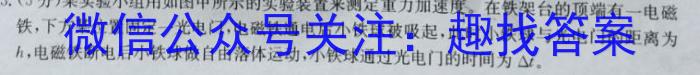 ʡ2023-2024ѧȰ꼶һѧĩѧxԾ