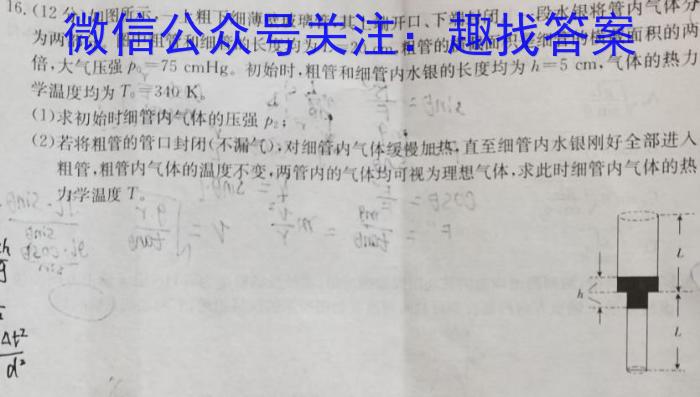 2023-2024学年度高三名校联考仿真模拟(9110C-H)物理试卷答案