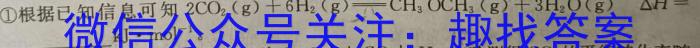 2024届新高三学情摸底考（新课标卷）数学