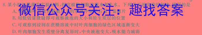 安徽省安师联盟2024年中考权威预测模拟试卷（八）数学