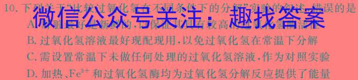 2024年普通高等学校全国统一模拟招生考试新未来高三4月联考英语