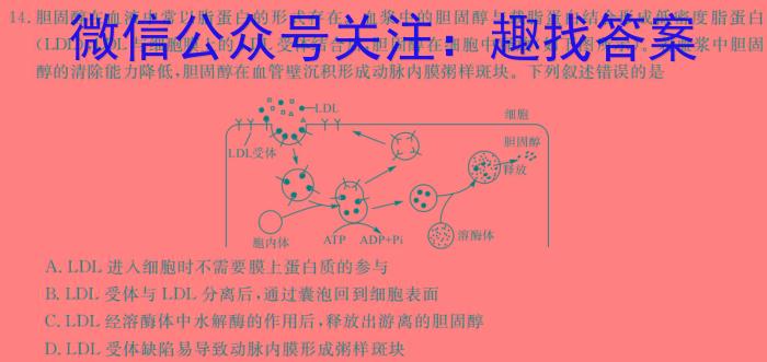 广东省大湾区2023-2024学年第一学期末普通高中二年级联合考试生物学试题答案