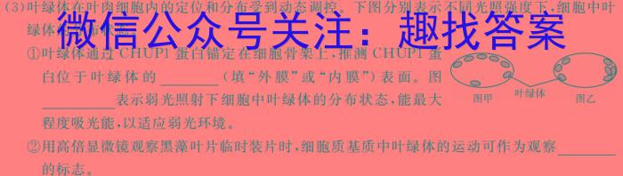 山东中学联盟2024届高三考前模拟冲刺大联考数学