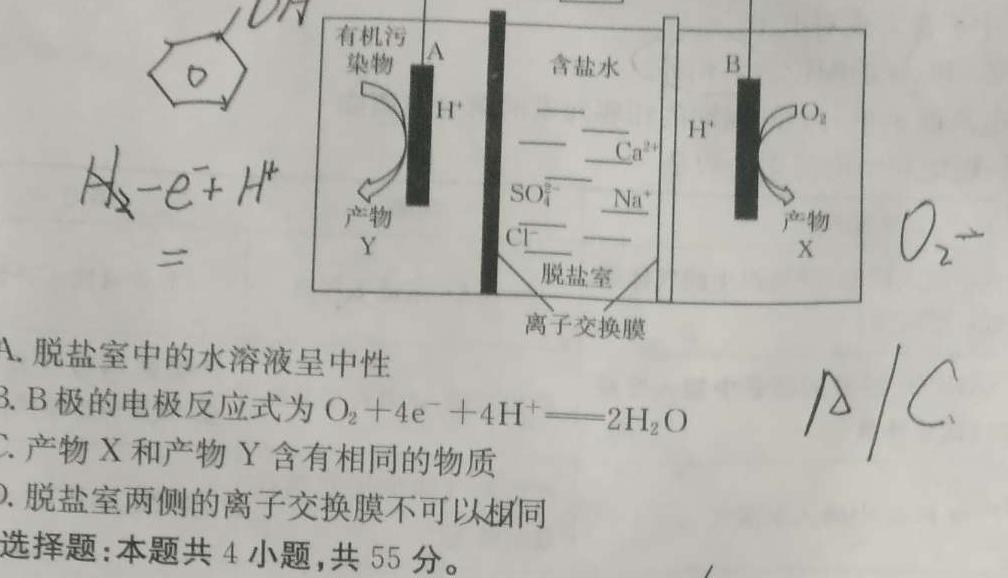 【热荐】安徽省2024年中考密卷先享模拟卷(二)化学