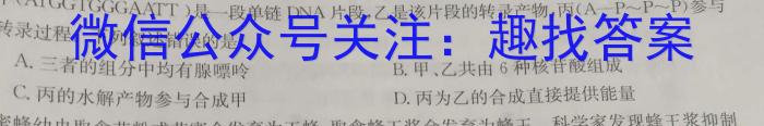 智ZH河南省2024年中招押题冲刺卷(一)生物学试题答案