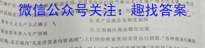 河北省2024届高三年级大数据应用调研联合测评（V）历史试卷答案