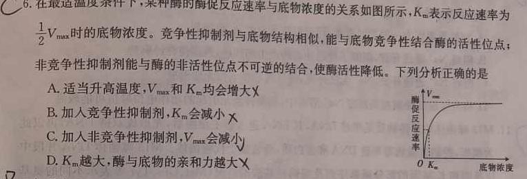 [上饶一模]江西省上绕市2024届高三第一次高考模拟考试生物学