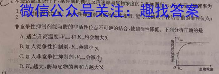 百师联盟·2024-2025高二上学期阶段测试卷(一)生物学试题答案