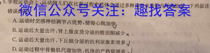 2024年湖北省新高考信息卷(四)4数学