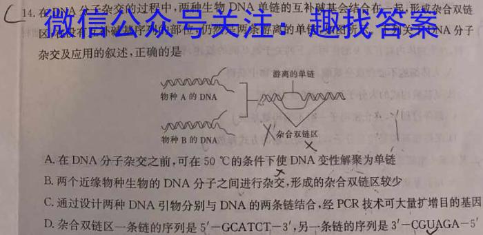 2025届全国高考分科模拟调研卷(二)2数学