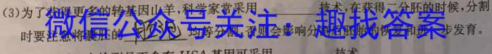 陕西省2023~2024学年度八年级第二学期期末质量调研(WG)数学