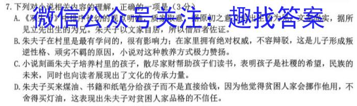 2024届河北省高三学生全过程纵向评价(六)语文