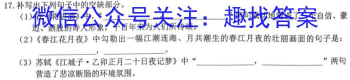 安徽省2024年九年级学业水平测试模拟（二）语文