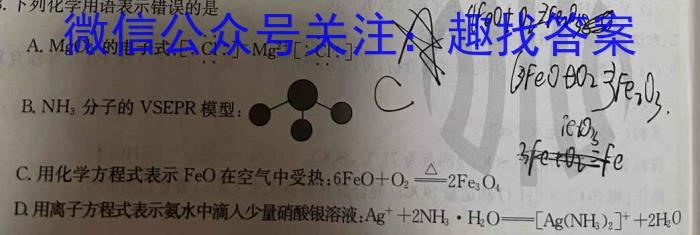 云南师大附中(贵州卷)2024届高考适应性月考卷(十)(黑黑黑白黑黑黑)数学