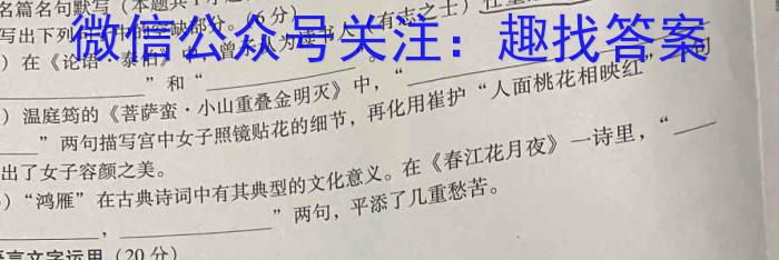 山西省2024届九年级学业水平检测卷（117）语文