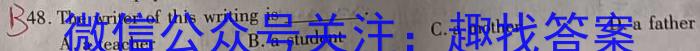 山西省2024年中考总复习专题训练 SHX(十二)12英语