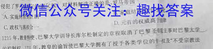 陕西省2024年初中学业水平考试（N）历史试卷