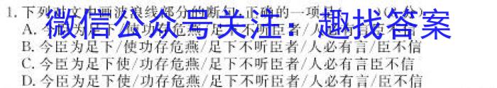 江西省2024年初中学业水平考试适应性试卷试题卷(三)语文