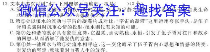 2023-2024学年高三试卷3月百万联考(卫星)语文