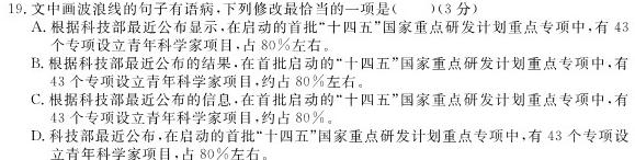 名校计划2024年河北省中考适应性模拟检测（强化型）语文