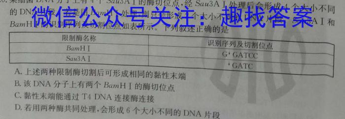 2024年河南省中招第三次模拟考试试卷数学