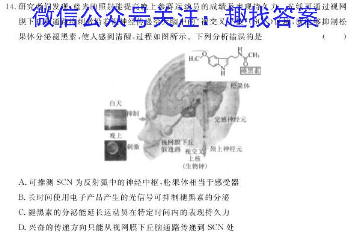 河南省鹤壁市2023-2024学年上期八年级期末教学质量调研测试数学